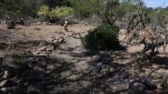 meeting Sam 05 Trail.jpg